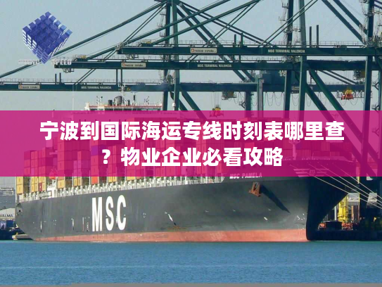 宁波到国际海运专线时刻表哪里查？物业企业必看攻略