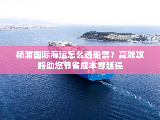 杨浦国际海运怎么选船票？高效攻略助您节省成本零延误