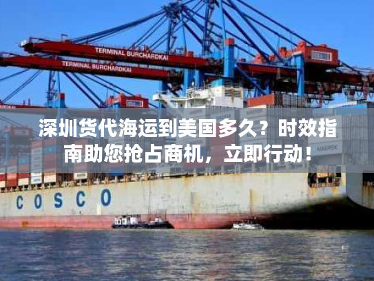 深圳货代海运到美国多久？时效指南助您抢占商机，立即行动！