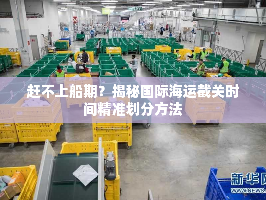 赶不上船期？揭秘国际海运截关时间精准划分方法