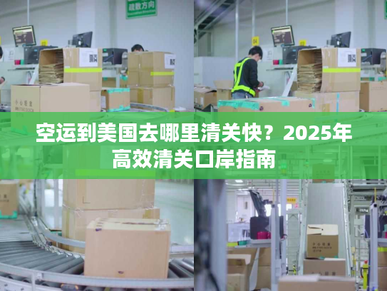 空运到美国去哪里清关快?2025年高效清关口岸指南 空运到美国去哪里清关快?2025年高效清关口岸指南