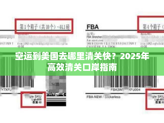 空运到美国去哪里清关快?2025年高效清关口岸指南 空运到美国去哪里清关快?2025年高效清关口岸指南