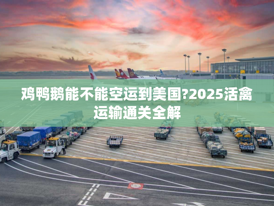 鸡鸭鹅能不能空运到美国?2025活禽运输通关全解