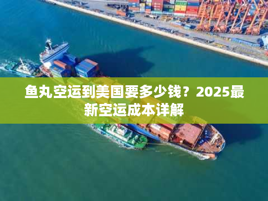 鱼丸空运到美国要多少钱？2025最新空运成本详解