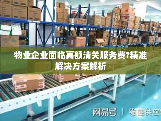 物业企业面临高额清关服务费?精准解决方案解析