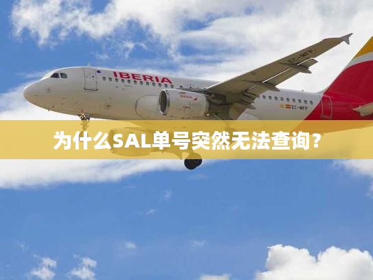 为什么SAL单号突然无法查询？