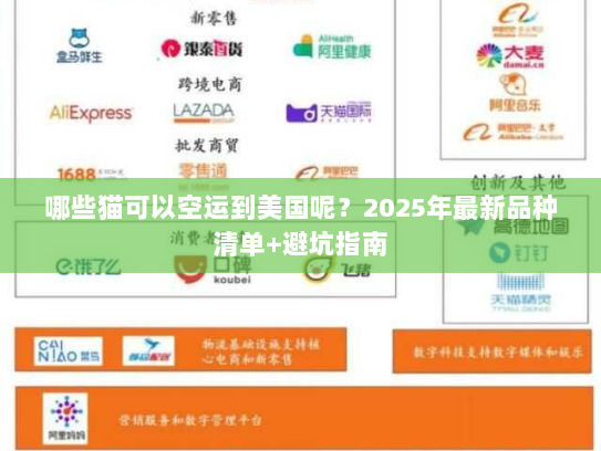哪些猫可以空运到美国呢？2025年最新品种清单+避坑指南