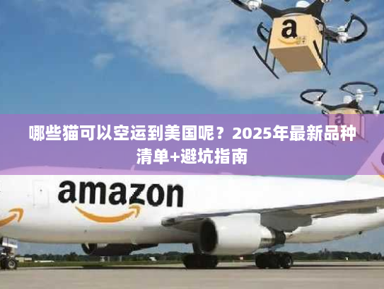哪些猫可以空运到美国呢？2025年最新品种清单+避坑指南