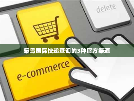 笨鸟国际快递查询的3种官方渠道