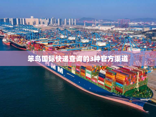 笨鸟国际快递查询的3种官方渠道