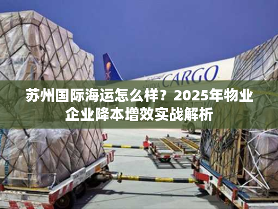 苏州国际海运怎么样？2025年物业企业降本增效实战解析