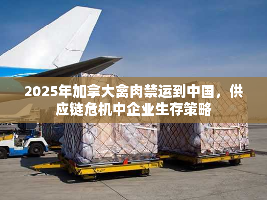 2025年加拿大禽肉禁运到中国，供应链危机中企业生存策略