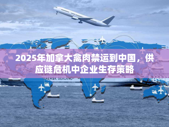 2025年加拿大禽肉禁运到中国，供应链危机中企业生存策略
