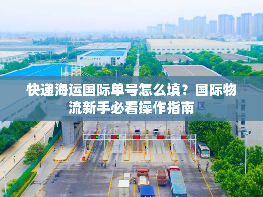 快递海运国际单号怎么填？国际物流新手必看操作指南