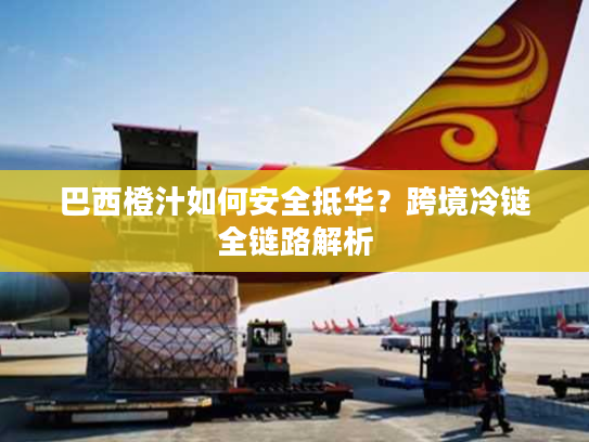 巴西橙汁如何安全抵华？跨境冷链全链路解析