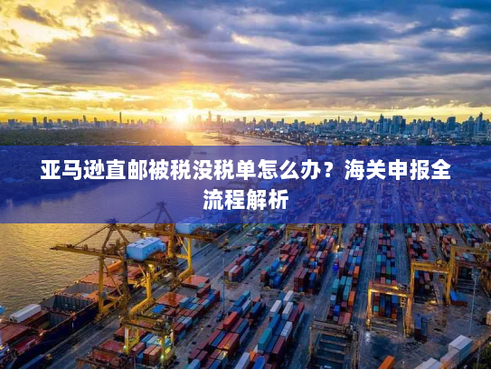 亚马逊直邮被税没税单怎么办?海关申报全流程解析 亚马逊直邮被税没税单怎么办?海关申报全流程解析