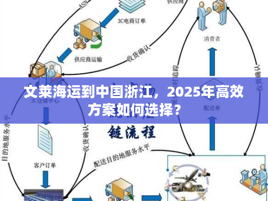 文莱海运到中国浙江，2025年高效方案如何选择？