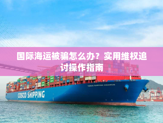 国际海运被骗怎么办？实用维权追讨操作指南