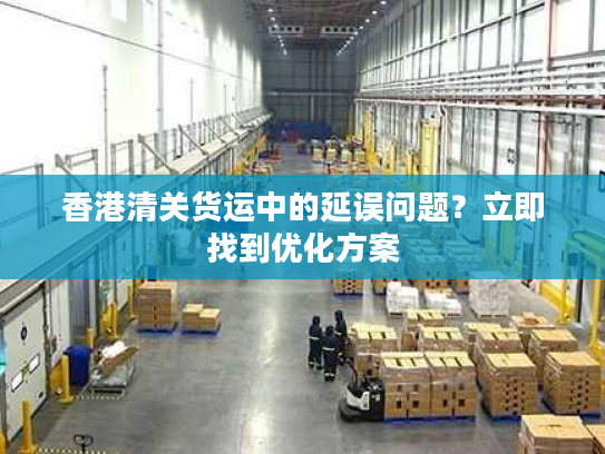 香港清关货运中的延误问题？立即找到优化方案