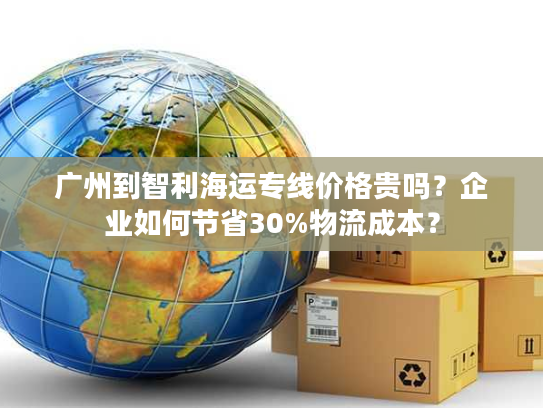 广州到智利海运专线价格贵吗？企业如何节省30%物流成本？