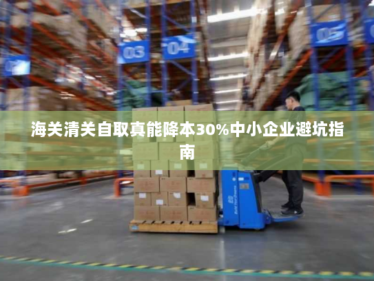 海关清关自取真能降本30%中小企业避坑指南