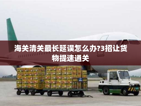 海关清关最长延误怎么办?3招让货物提速通关 海关清关最长延误怎么办?3招让货物提速通关