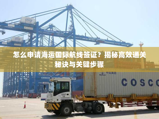 怎么申请海运国际航线签证?揭秘高效通关秘诀与关键步骤 怎么申请海运国际航线签证?揭秘高效通关秘诀与关键步骤
