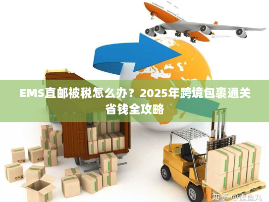 EMS直邮被税怎么办?2025年跨境包裹通关省钱全攻略 EMS直邮被税怎么办?2025年跨境包裹通关省钱全攻略