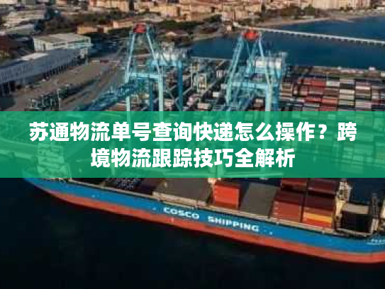 苏通物流单号查询快递怎么操作？跨境物流跟踪技巧全解析