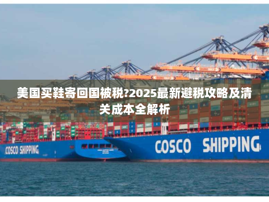 美国买鞋寄回国被税?2025最新避税攻略及清关成本全解析