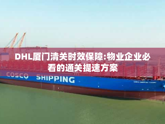 DHL厦门清关时效保障:物业企业必看的通关提速方案