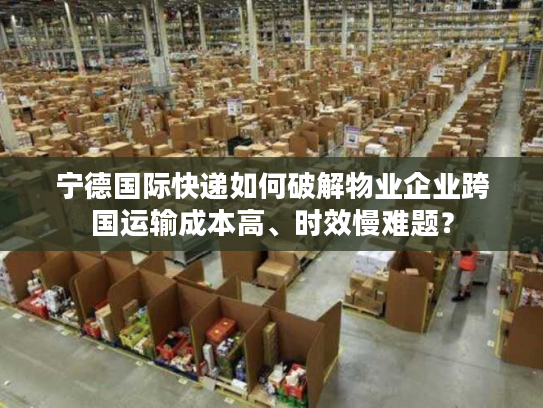 宁德国际快递如何破解物业企业跨国运输成本高、时效慢难题？