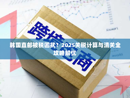 韩国直邮被税困扰？2025关税计算与清关全攻略解忧
