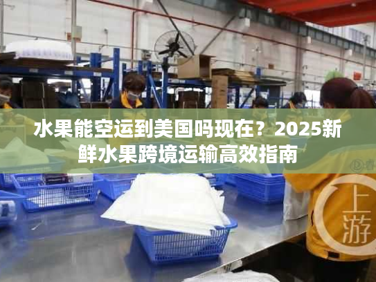 水果能空运到美国吗现在？2025新鲜水果跨境运输高效指南