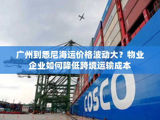 广州到悉尼海运价格波动大？物业企业如何降低跨境运输成本