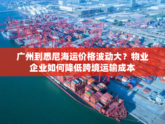 广州到悉尼海运价格波动大？物业企业如何降低跨境运输成本