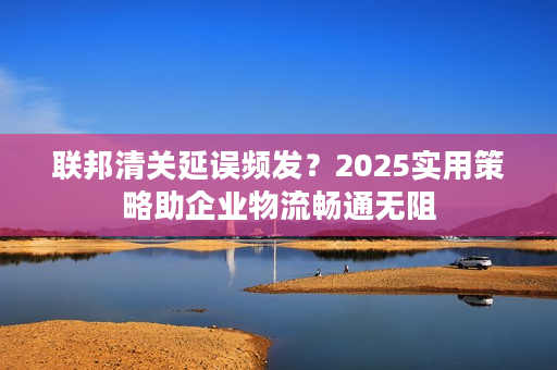 联邦清关延误频发？2025实用策略助企业物流畅通无阻