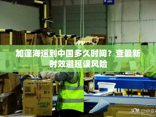 加蓬海运到中国多久时间？查最新时效避延误风险