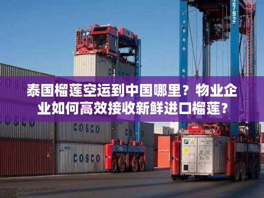 泰国榴莲空运到中国哪里？物业企业如何高效接收新鲜进口榴莲？