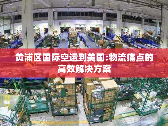 黄浦区国际空运到美国:物流痛点的高效解决方案