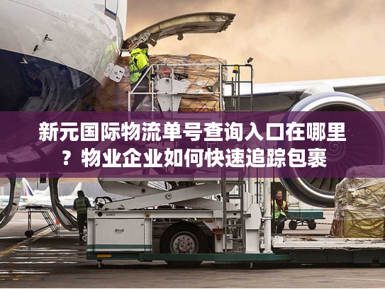 新元国际物流单号查询入口在哪里？物业企业如何快速追踪包裹