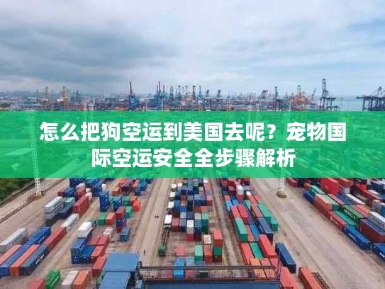 怎么把狗空运到美国去呢？宠物国际空运安全全步骤解析