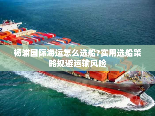 杨浦国际海运怎么选船?实用选船策略规避运输风险