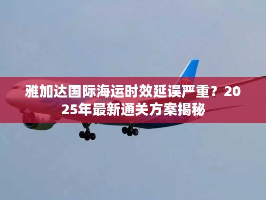 雅加达国际海运时效延误严重?2025年最新通关方案揭秘 雅加达国际海运时效延误严重?2025年最新通关方案揭秘