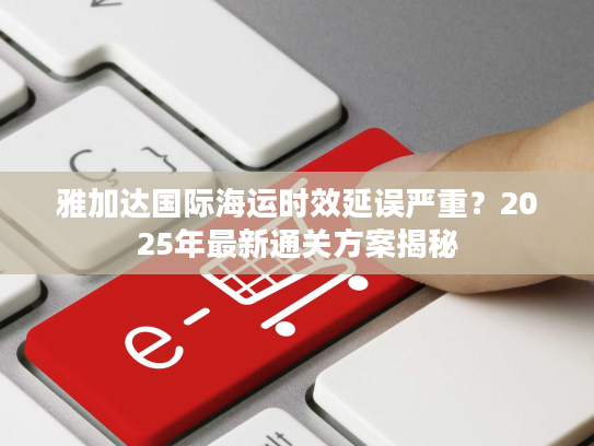 雅加达国际海运时效延误严重？2025年最新通关方案揭秘