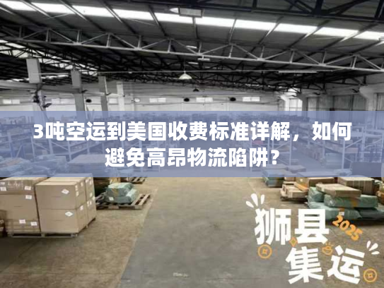 3吨空运到美国收费标准详解，如何避免高昂物流陷阱？