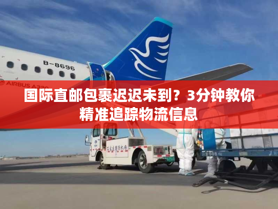 国际直邮包裹迟迟未到？3分钟教你精准追踪物流信息