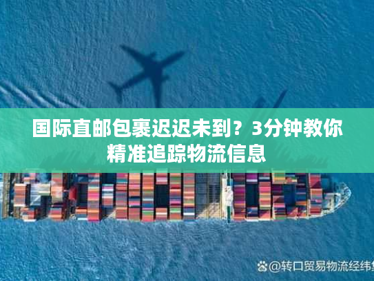 国际直邮包裹迟迟未到？3分钟教你精准追踪物流信息