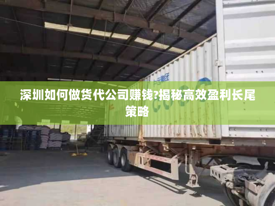 深圳如何做货代公司赚钱?揭秘高效盈利长尾策略 深圳如何做货代公司赚钱?揭秘高效盈利长尾策略