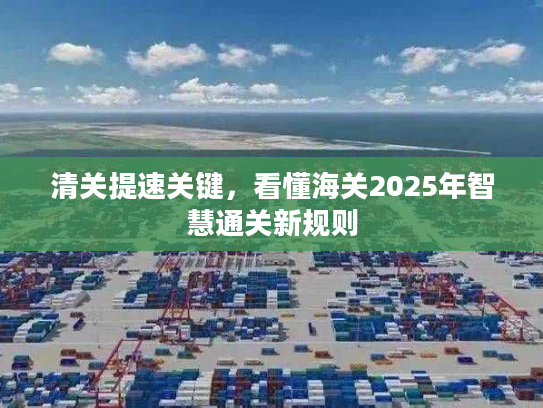 清关提速关键，看懂海关2025年智慧通关新规则